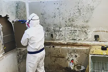 local Restoration Services